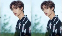 王俊凯肖战最新爆料新闻,揭秘娱乐圈幕后真相