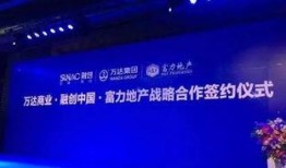 融创爆料最新事件,揭秘行业巨变背后的真相与挑战
